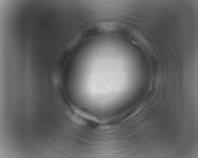 X0000069830417200605261846