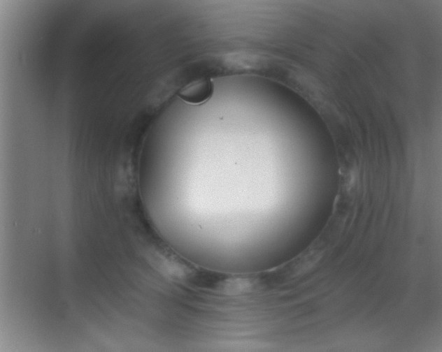 X0000069830418200605261846