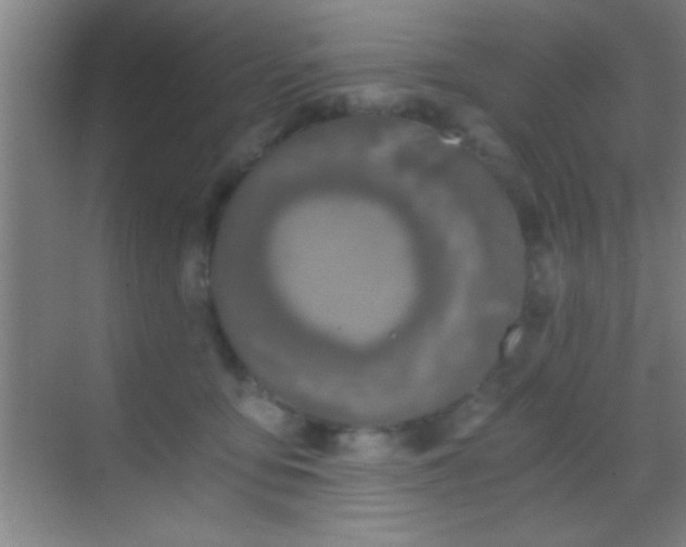 X0000069830419200605261846