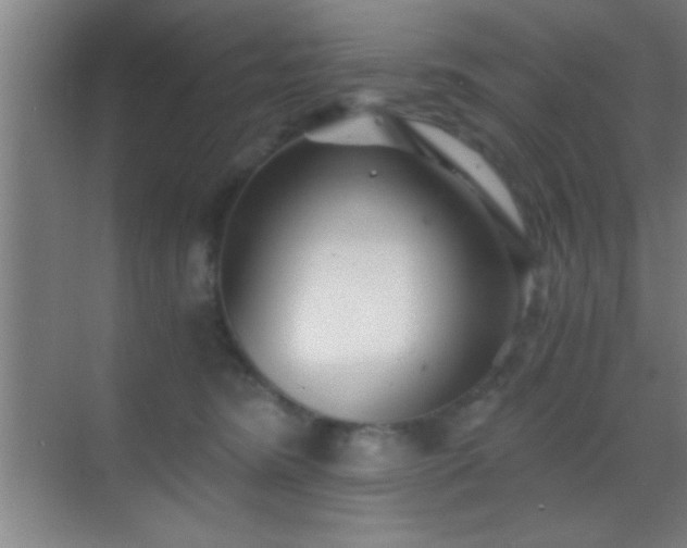 X0000069830420200605261846