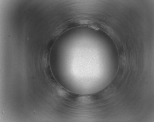 X0000069830422200605261846