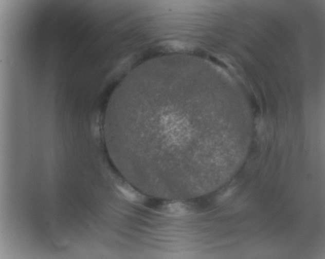 X0000069830423200605261846