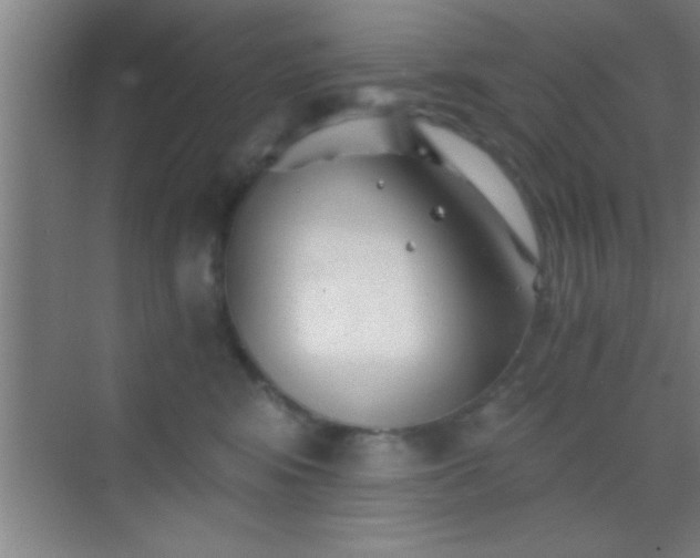 X0000069830424200605261846