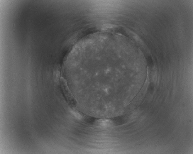 X0000069830427200605261846