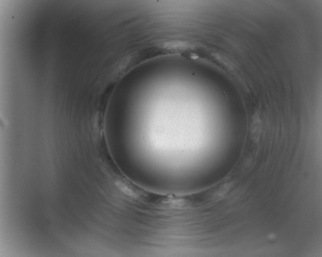 X0000069830428200605261846