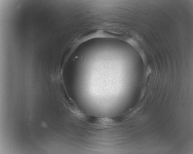 X0000069830429200605261846