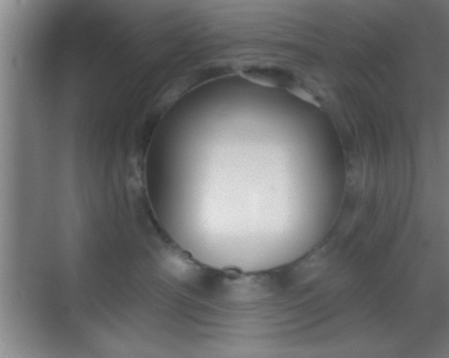 X0000069830430200605261846