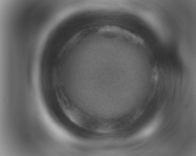 X0000069830431200605261846