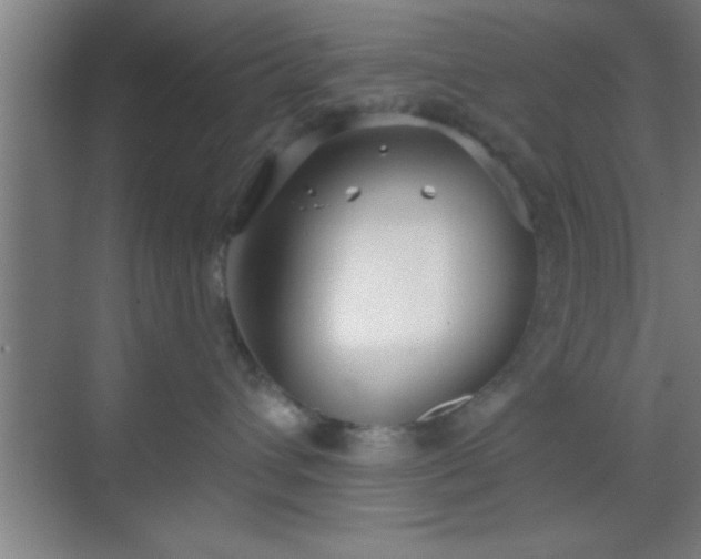 X0000069830432200605261846