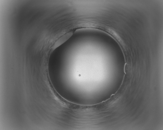 X0000069830433200605261845