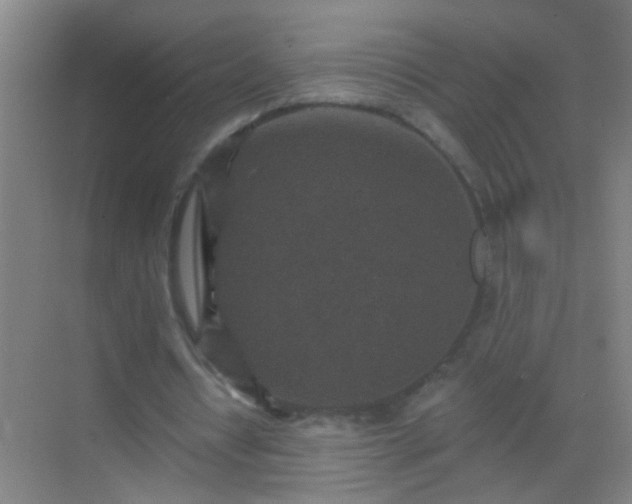 X0000069830434200605261845