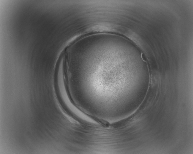 X0000069830438200605261845