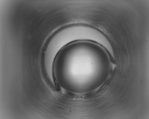 X0000069830440200605261845