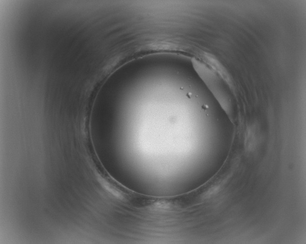 X0000069830441200605261845