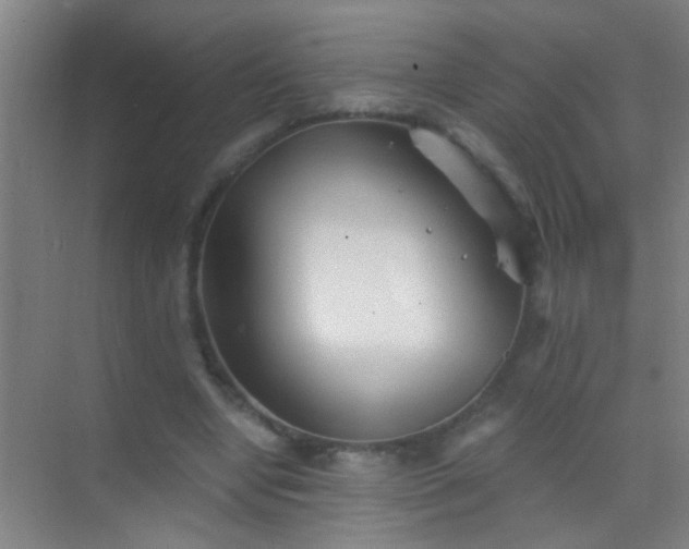 X0000069830442200605261845