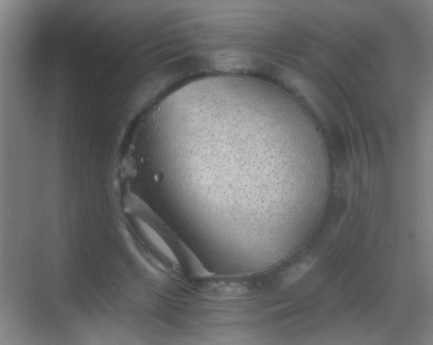 X0000069830443200605261845