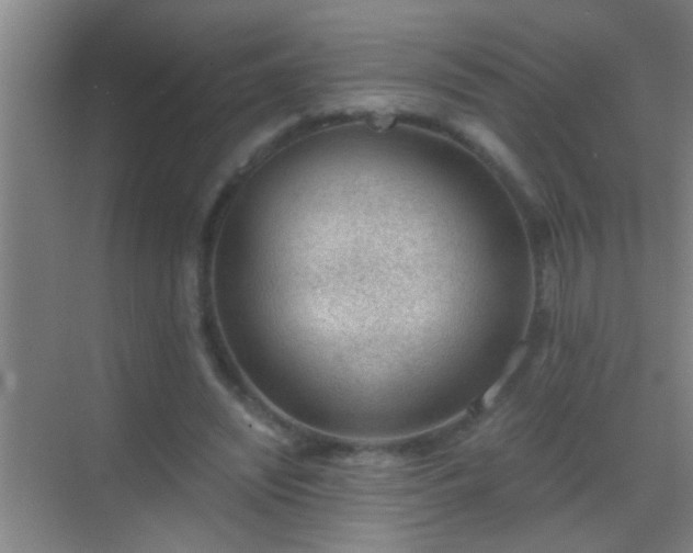 X0000069830444200605261845