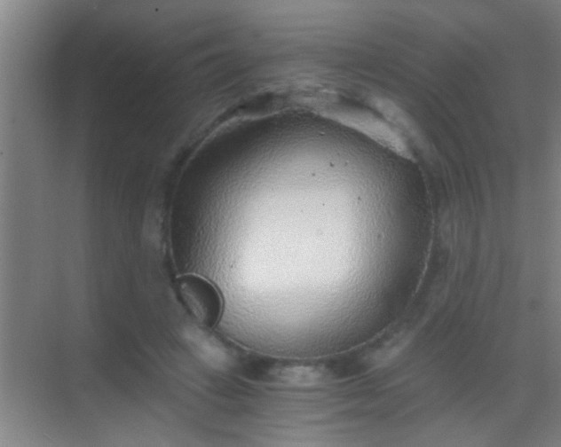 X0000069830449200605261845