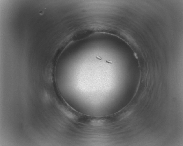 X0000069830450200605261845