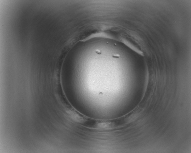 X0000069830461200605261845