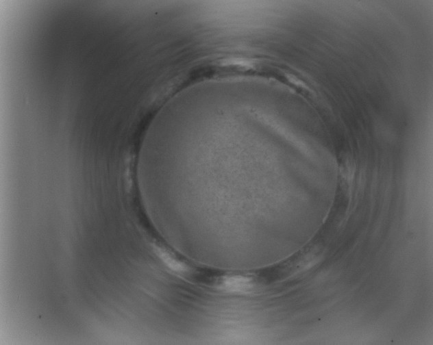 X0000069830462200605261845