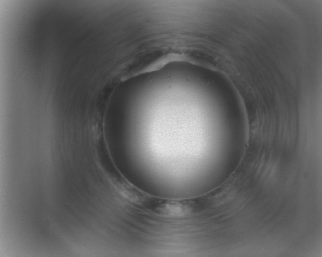 X0000069830464200605261845