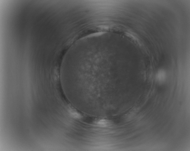 X0000069830467200605261845