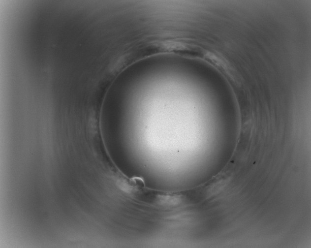 X0000069830469200605261845