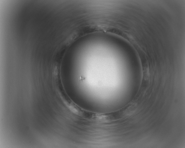 X0000069830472200605261845