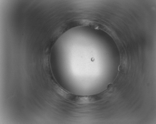 X0000069830473200605261845