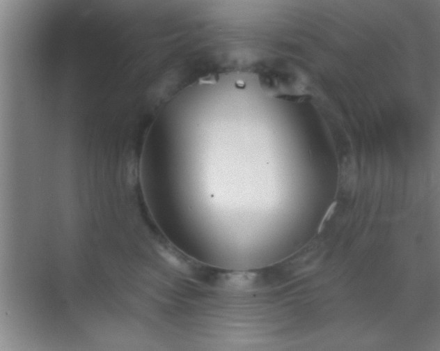 X0000069830474200605261845