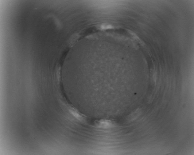 X0000069830475200605261845