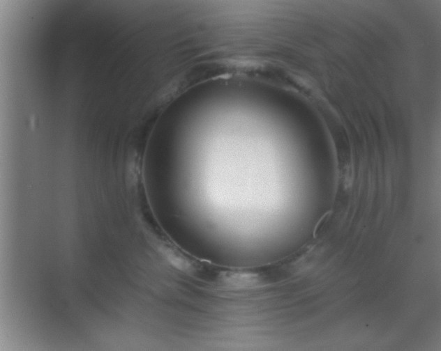 X0000069830476200605261846