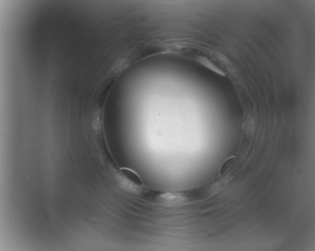 X0000069830477200605261846