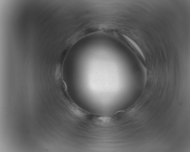 X0000069830478200605261846