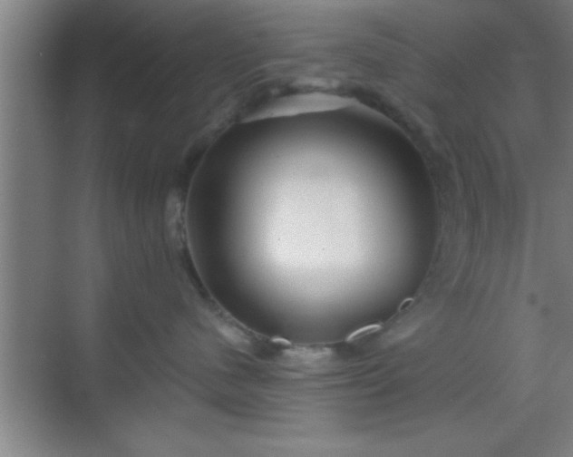 X0000069830480200605261846