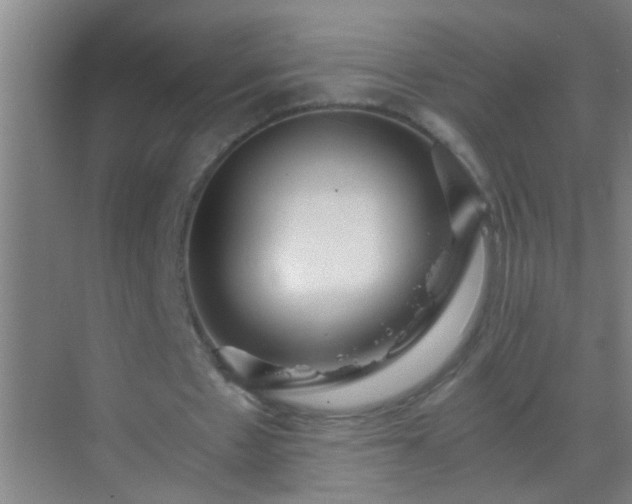 X0000069830481200605261845