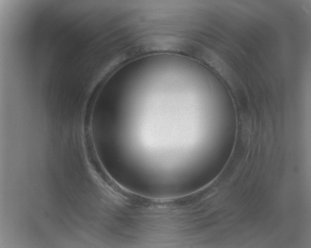 X0000069830482200605261845