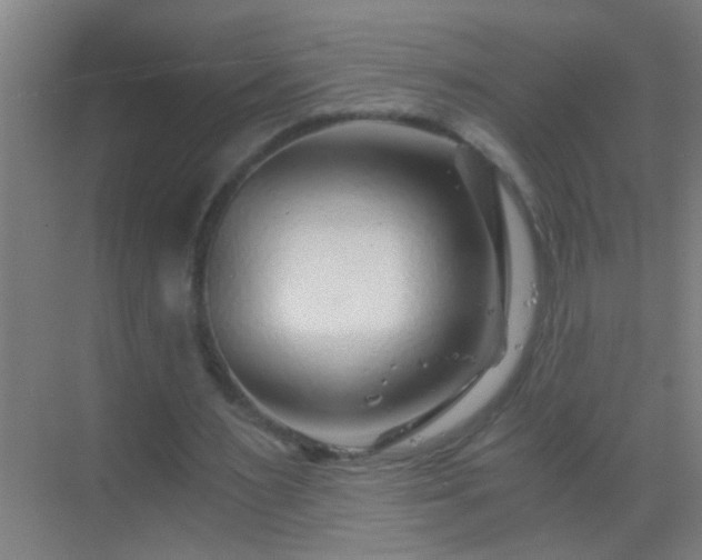 X0000069830483200605261845