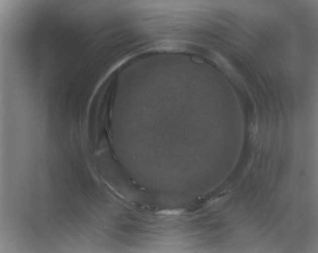 X0000069830484200605261845