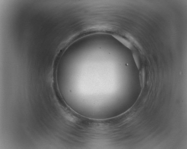 X0000069830486200605261845