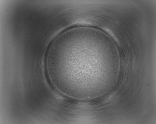 X0000069830487200605261845