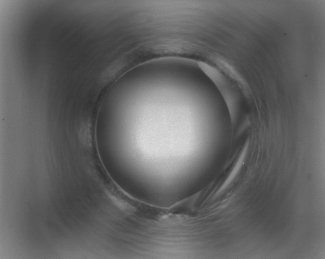 X0000069830489200605261845