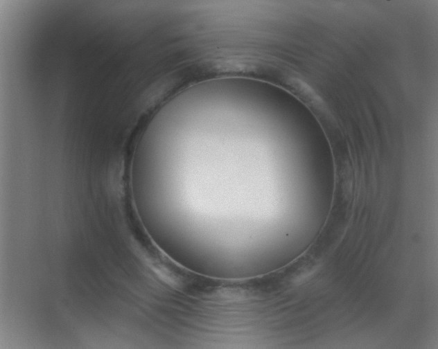 X0000069830490200605261845