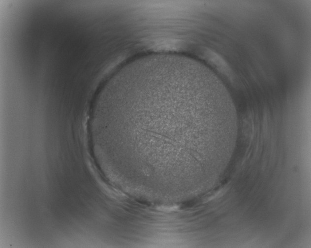 X0000069830491200605261845