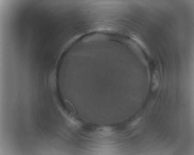 X0000069830492200605261845