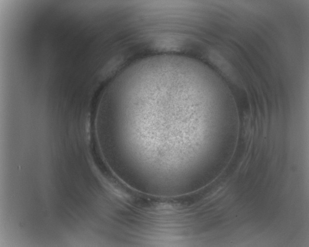 X0000069830494200605261845