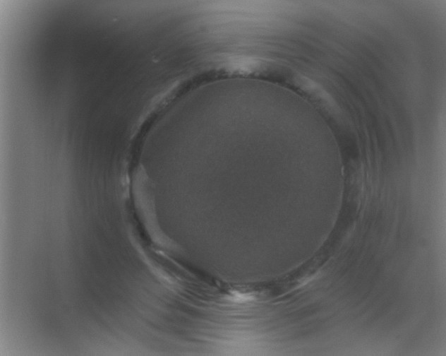 X0000069830496200605261845