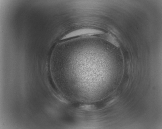 X0000069830499200605261844