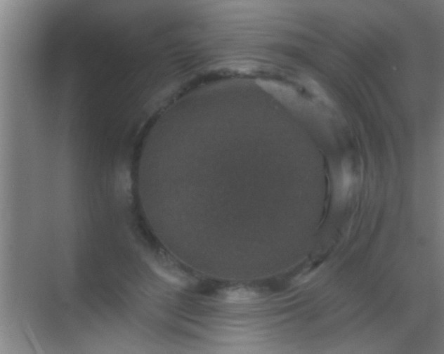 X0000069830500200605261844